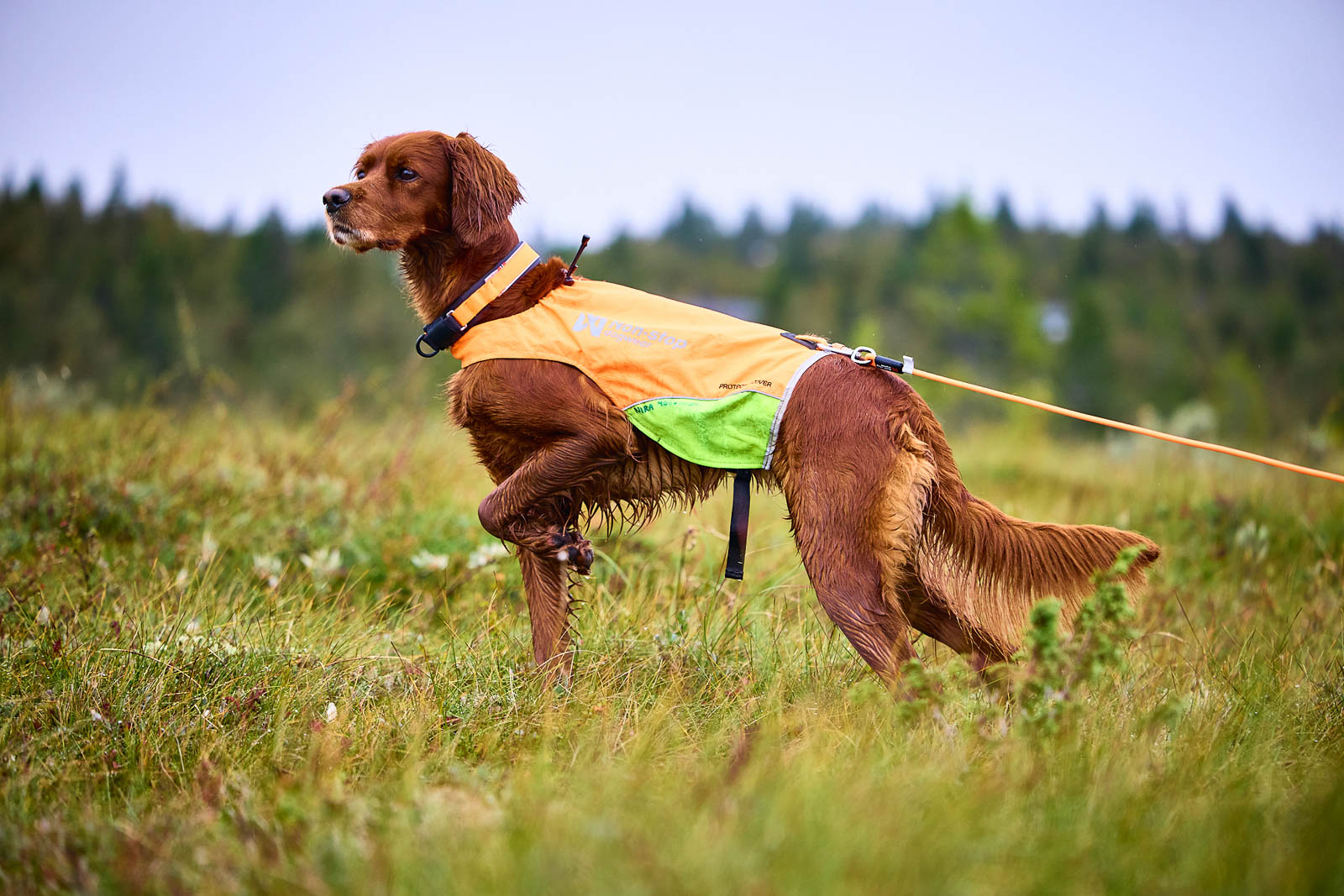 Non-stop Dogwear Protector Round Long line - Image 2