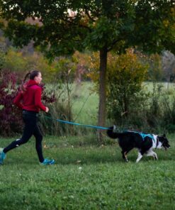 Non-stop Dogwear Rush Belt - Image 10