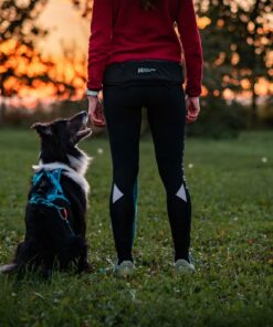 Alternative view of Non-stop Dogwear Rush Belt
