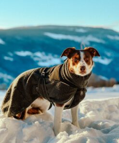 Non-stop Dogwear Wool dog jacket - Image 6