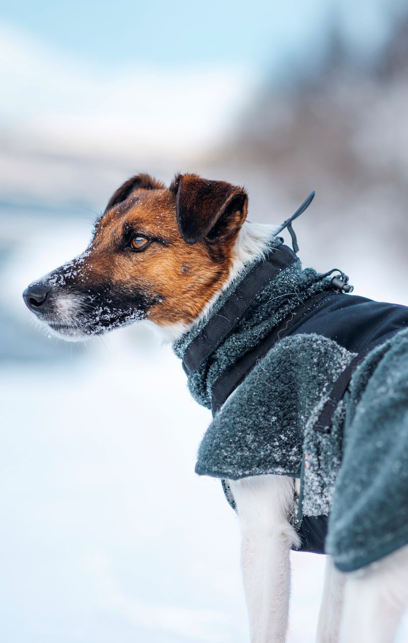 Non-stop Dogwear Wool dog jacket - Image 3