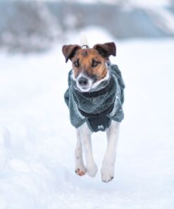 Alternative view of Non-stop Dogwear Wool dog jacket