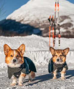 Non-stop Dogwear Wool dog jacket - Image 4
