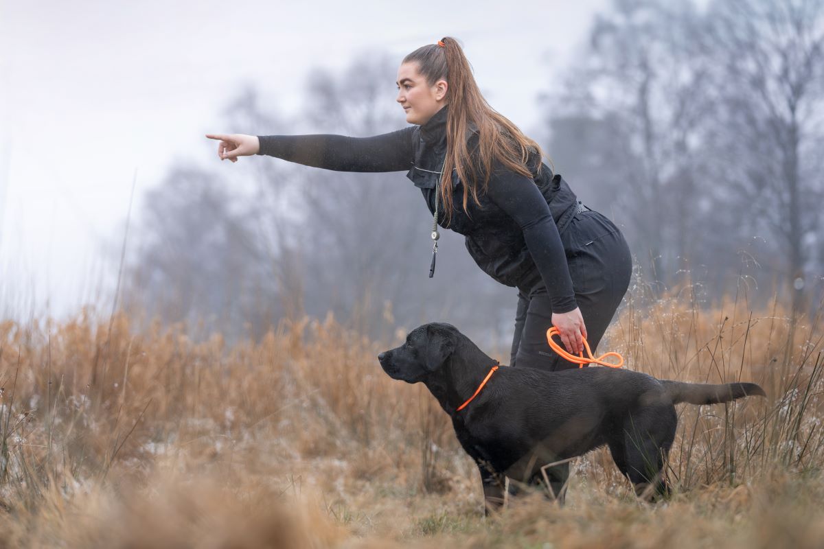 Non-stop Dogwear Retriever leash hundeline - Image 7