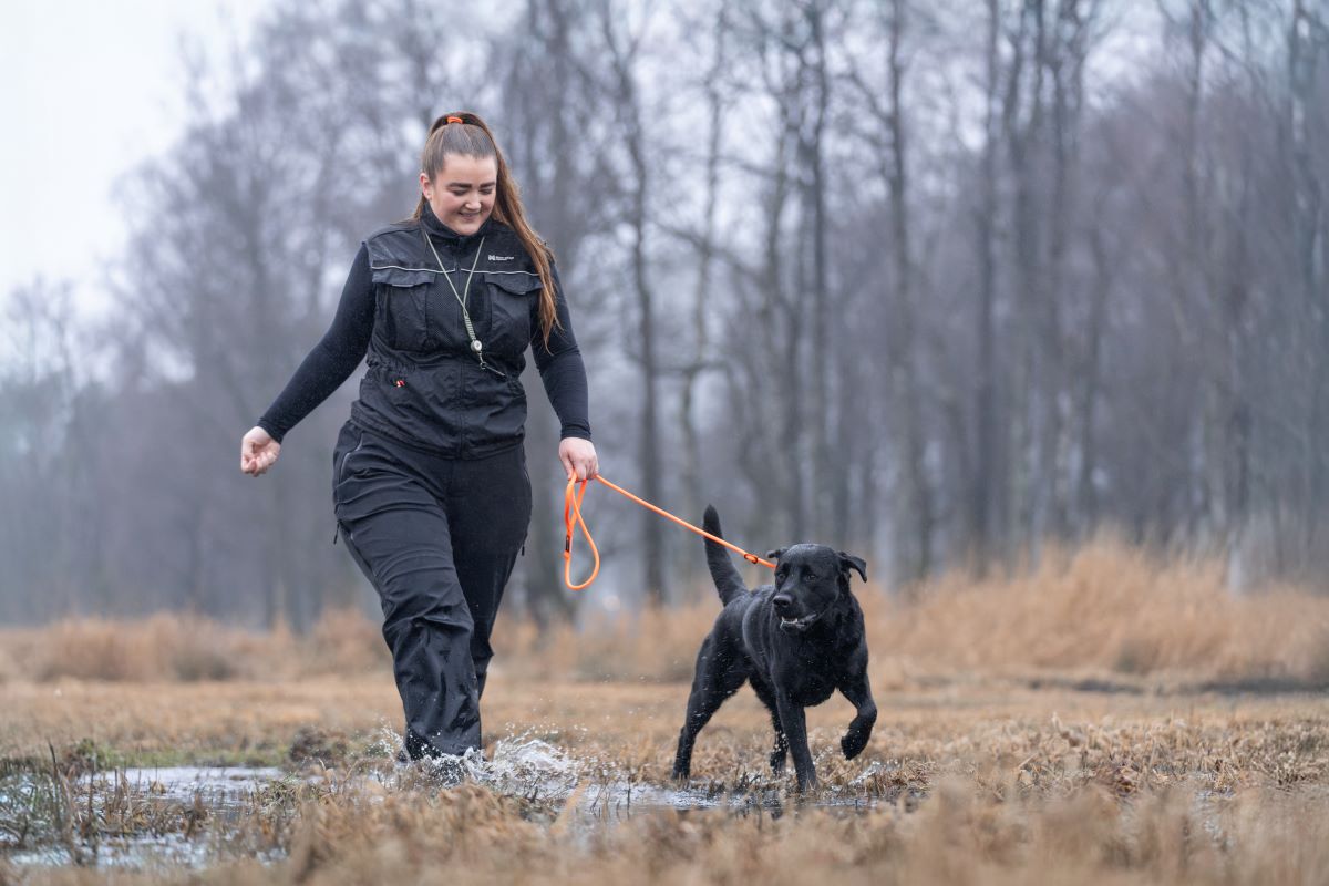 Non-stop Dogwear Retriever leash hundeline - Image 8
