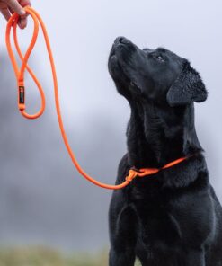 Non-stop Dogwear Retriever leash hundeline - Image 3