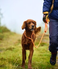 Non-stop Dogwear Retriever leash hundeline - Image 6