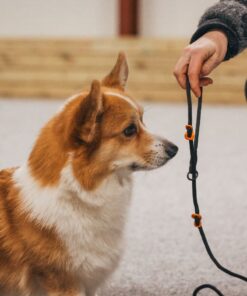 Non-stop Dogwear Retriever leash hundeline - Image 11