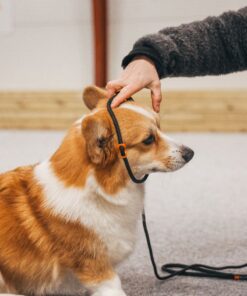 Non-stop Dogwear Retriever leash hundeline - Image 10