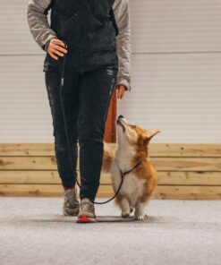 Non-stop Dogwear Retriever leash hundeline - Image 9