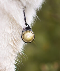 Orbiloc Dog Dual - GOLD - Image 6