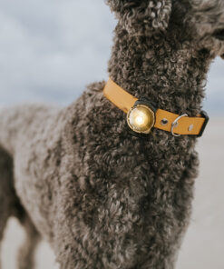 Orbiloc Dog Dual - GOLD - Image 4