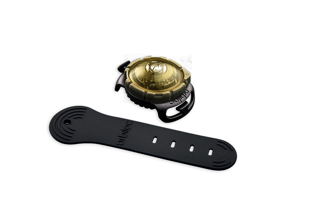 Orbiloc Dog Dual - GOLD