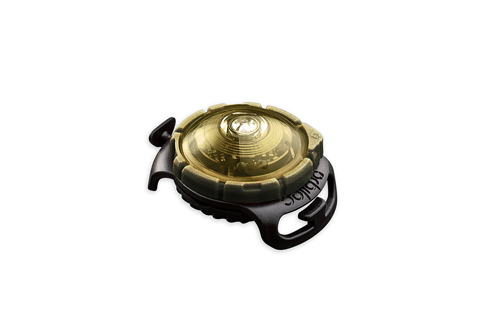 Orbiloc Dog Dual - GOLD - Image 7
