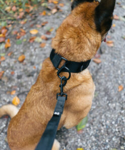Non-stop Dogwear Security strap WD - Image 3