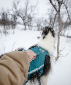 Non-stop Dogwear Ramble harness long - Image 4
