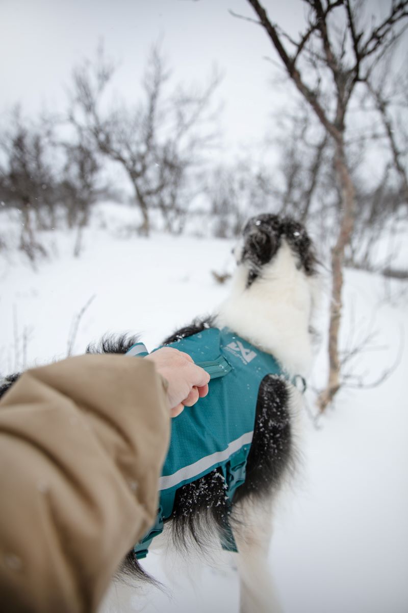 Non-stop Dogwear Ramble harness long - Image 4