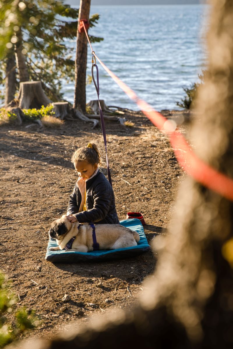 Ruffwear Knot-a-hitch - Image 3