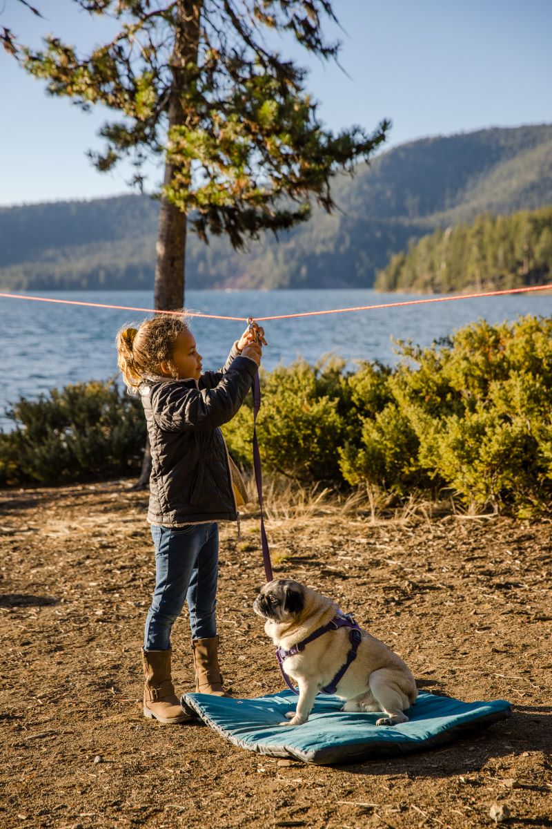 Ruffwear Knot-a-hitch - Image 2