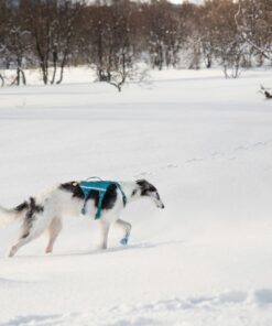 Non-stop Dogwear Ramble harness long - Image 3