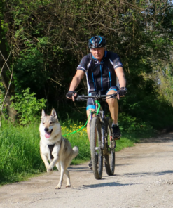 Axaeco Bikejoring line - Image 4