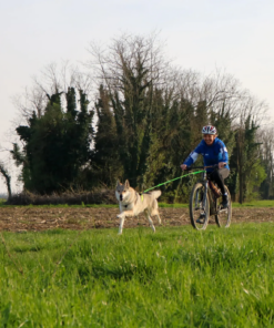 Axaeco Bikejoring line - Image 3