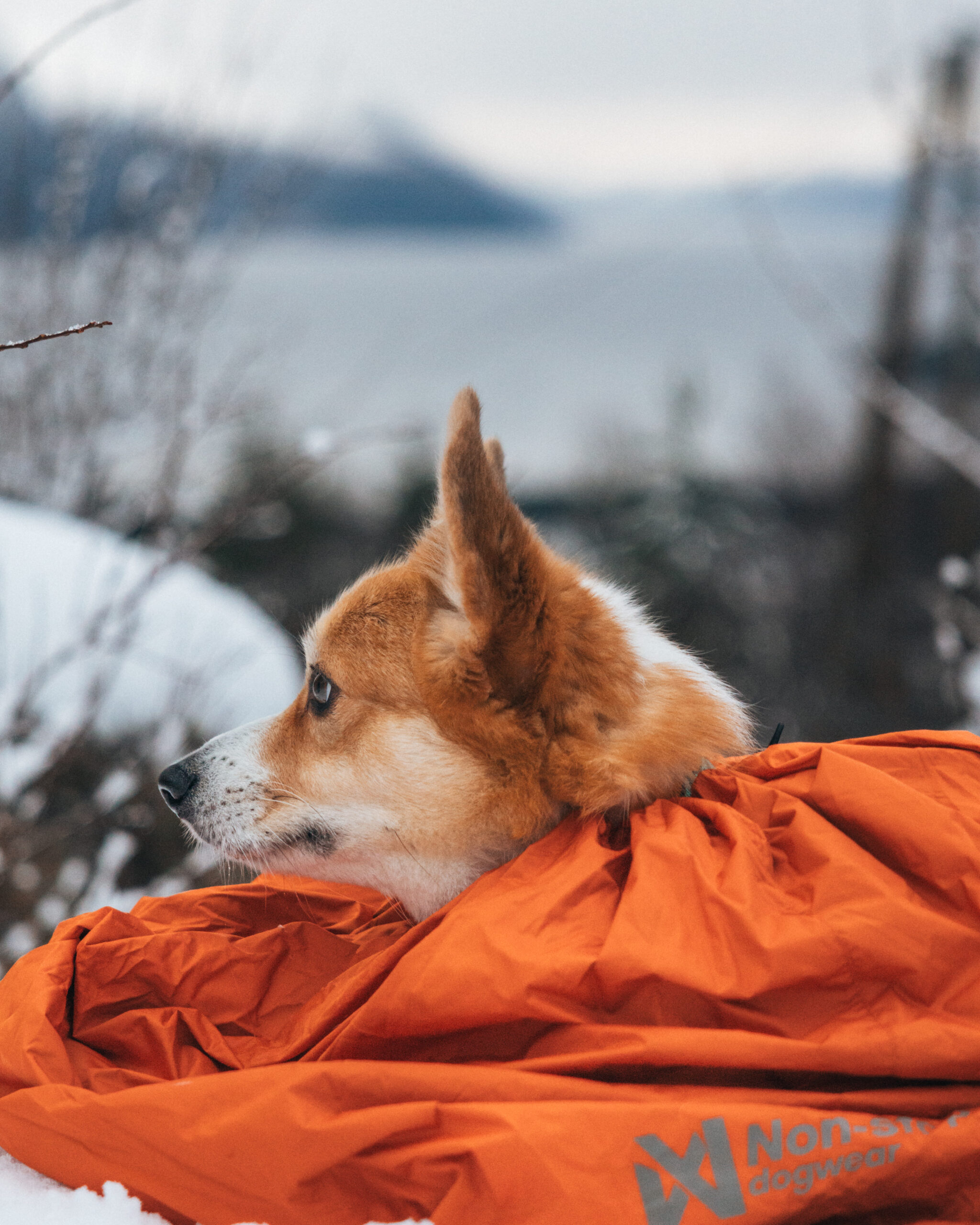 Non-stop Dogwear Protector bivvy bag - Image 15