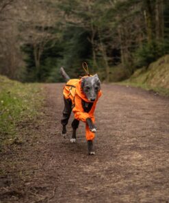 Non-stop Dogwear Fjord overall regndækken - Image 8