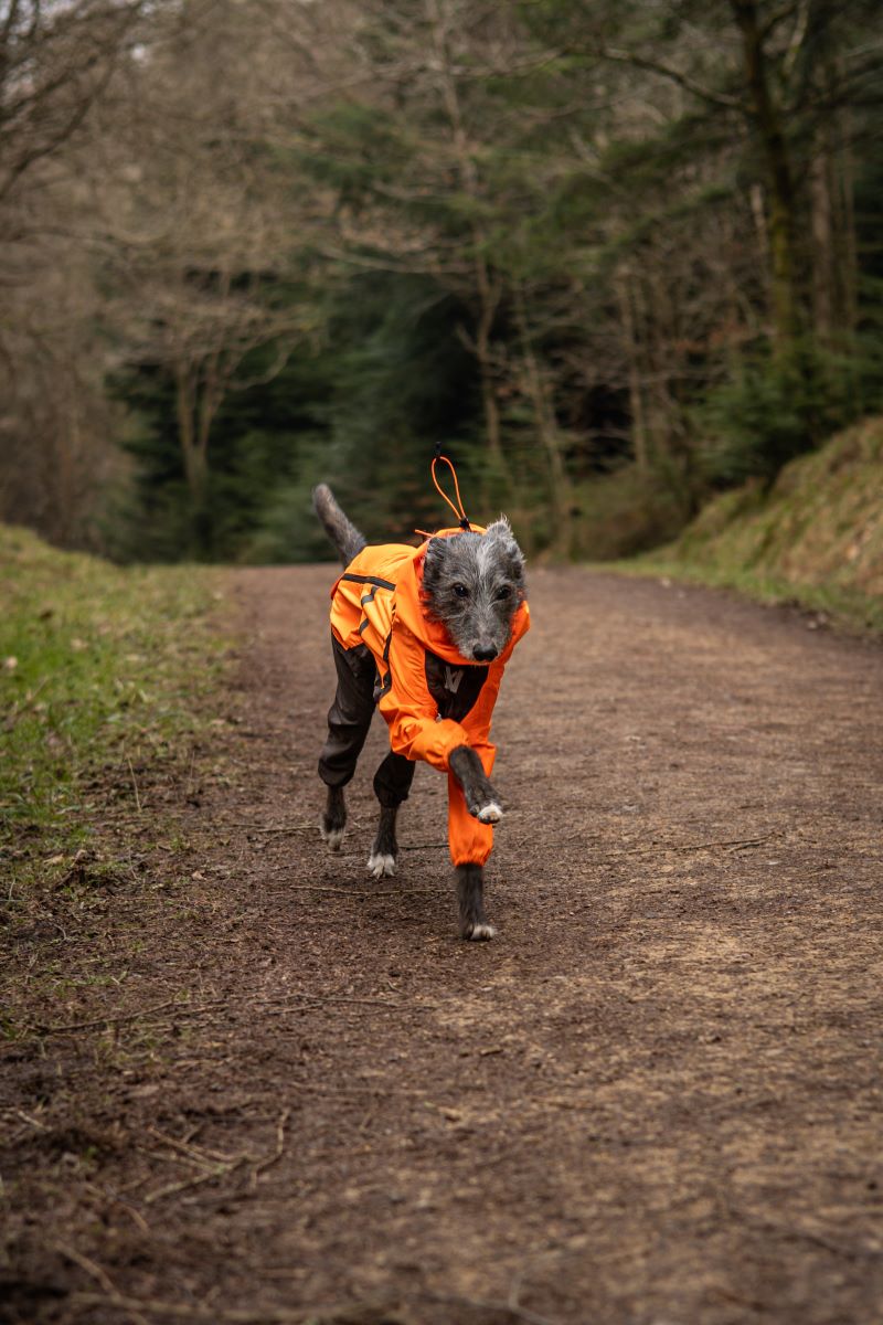 Non-stop Dogwear Fjord overall regndækken - Image 8