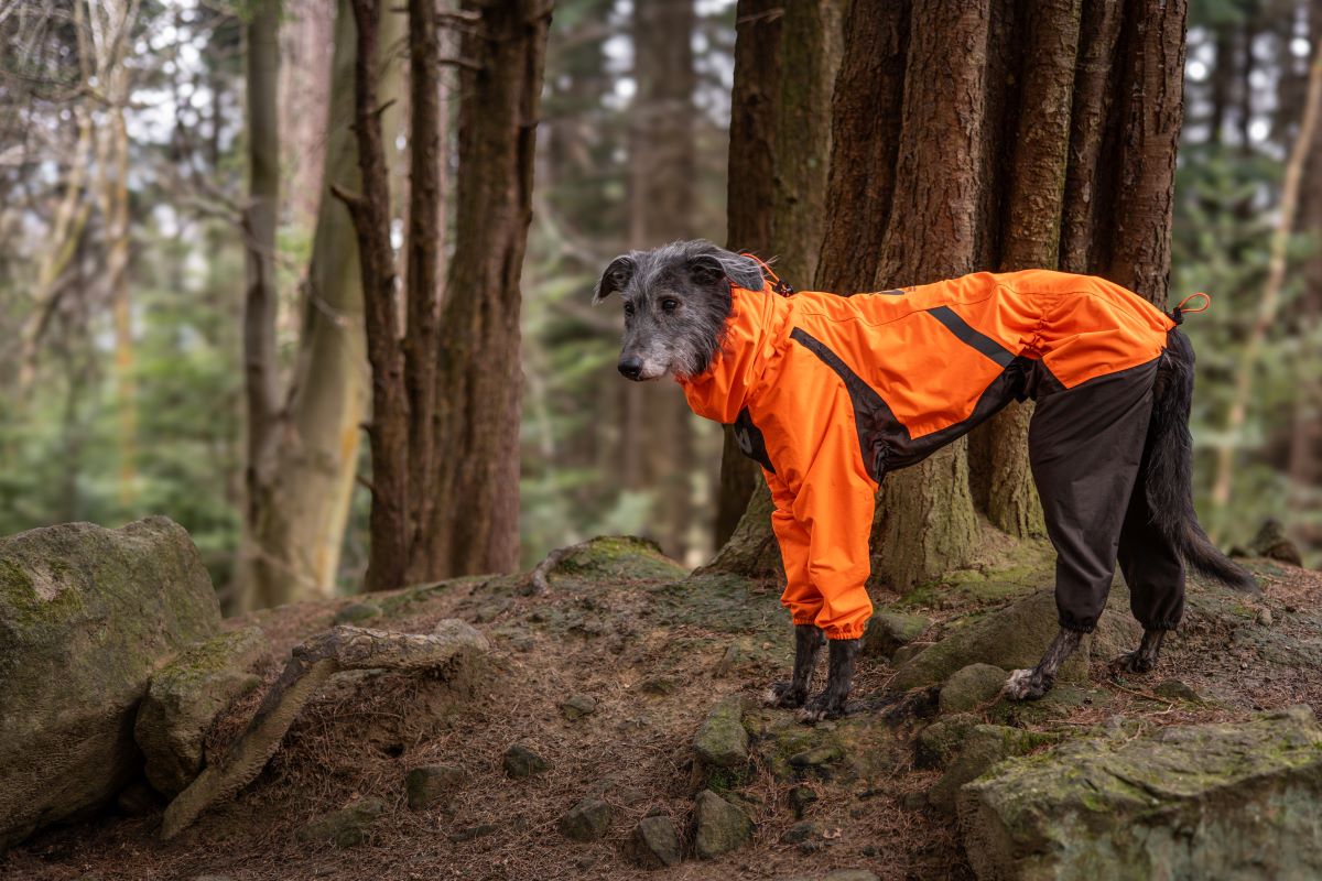 Non-stop Dogwear Fjord overall regndækken - Image 6