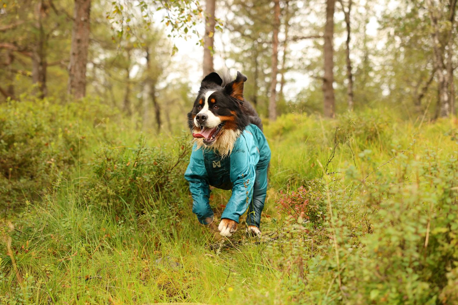 Non-stop Dogwear Fjord overall regndækken - Image 13