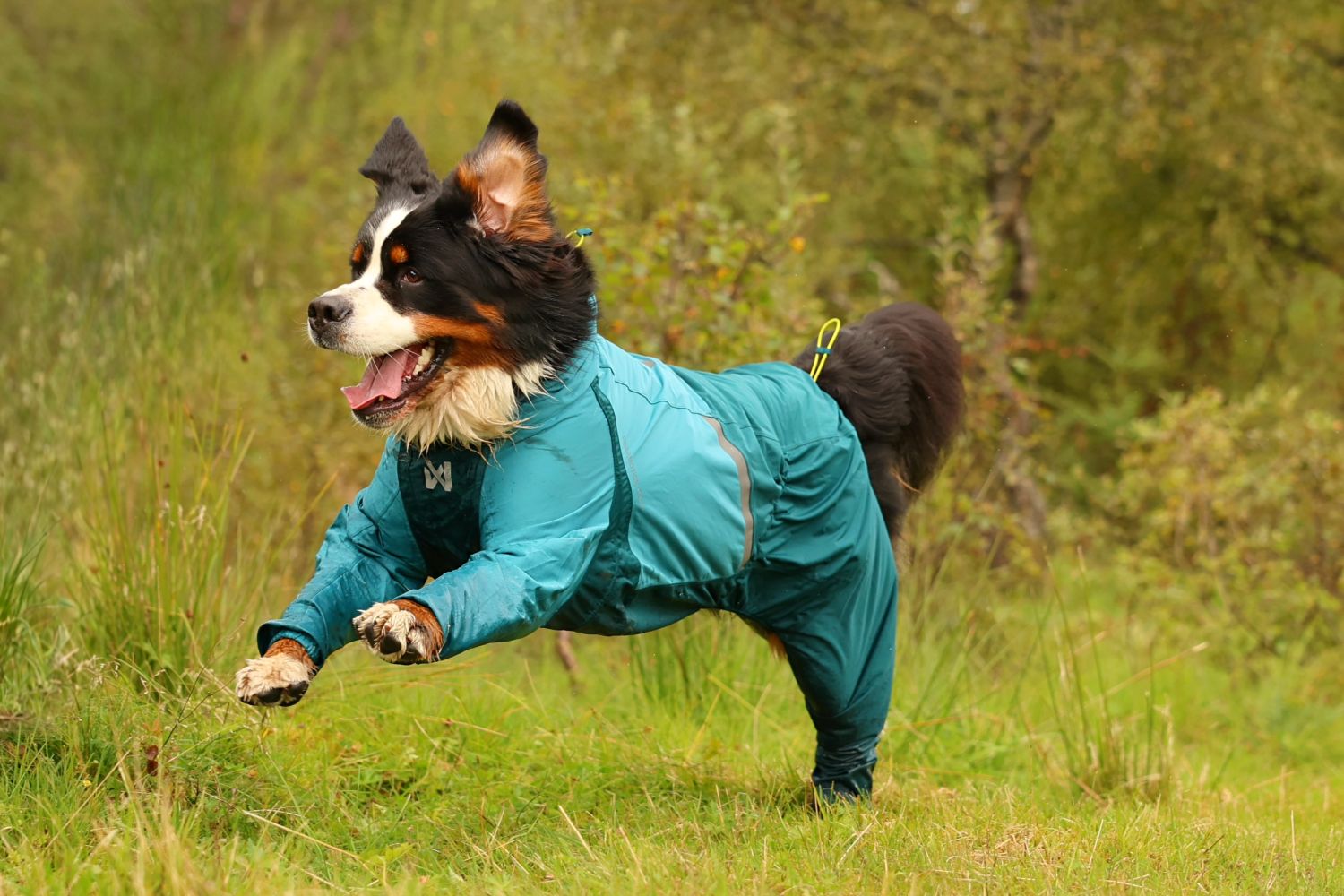 Non-stop Dogwear Fjord overall regndækken - Image 3