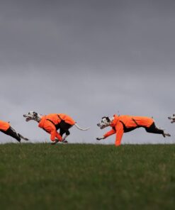 Non-stop Dogwear Fjord overall regndækken - Image 7