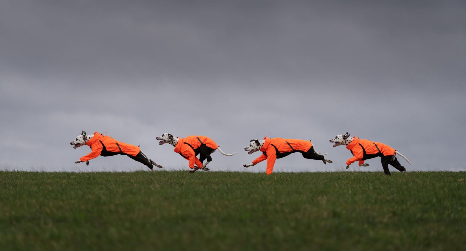 Non-stop Dogwear Fjord overall regndækken - Image 7
