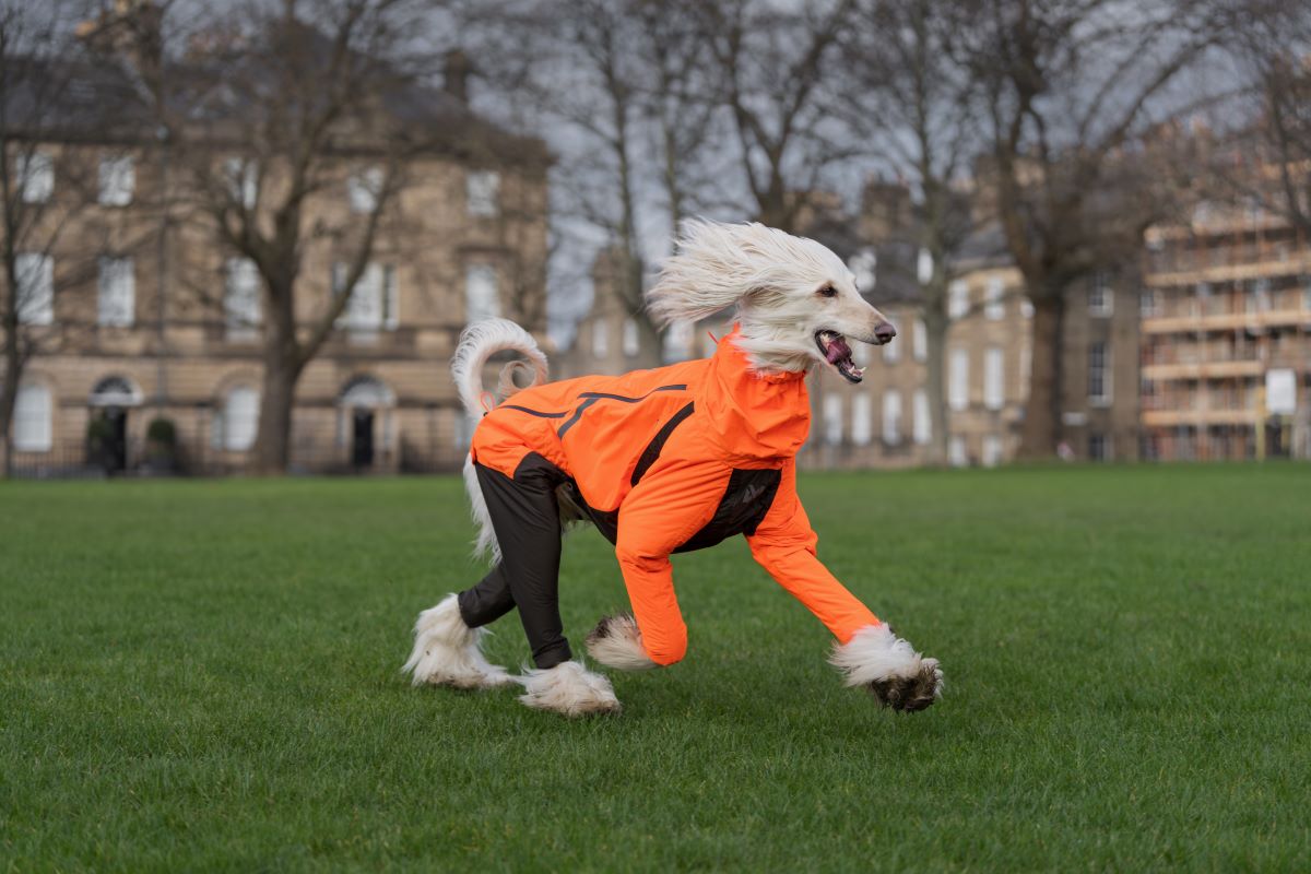 Non-stop Dogwear Fjord overall regndækken - Image 4