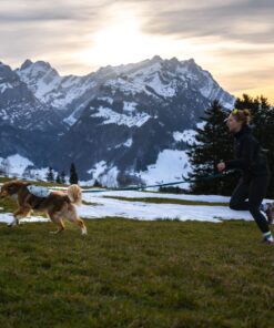 Non-stop Dogwear Trail light dog backpack - Image 5