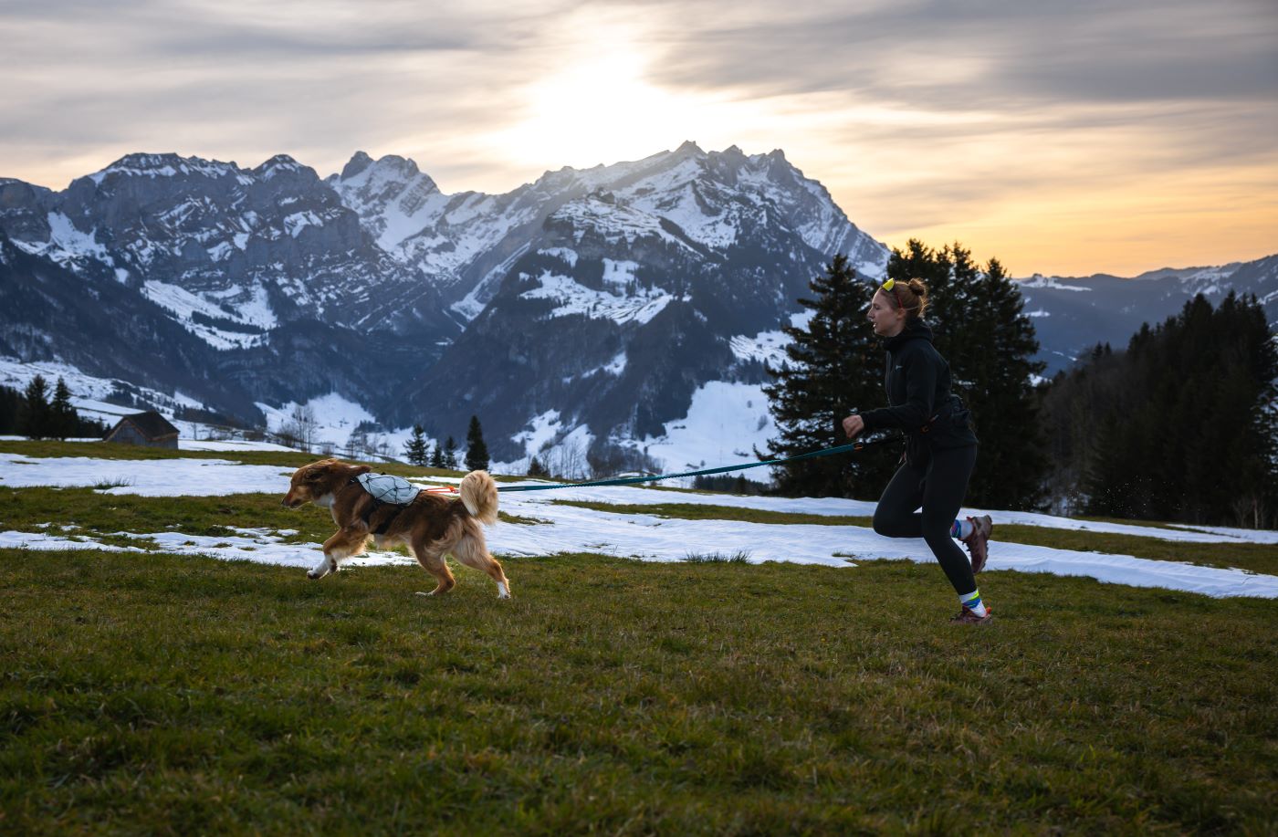 Non-stop Dogwear Trail light dog backpack - Image 5