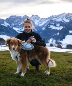 Non-stop Dogwear Trail light dog backpack - Image 3