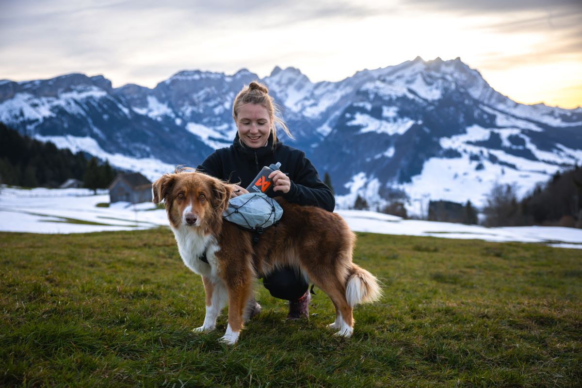 Non-stop Dogwear Trail light dog backpack - Image 3