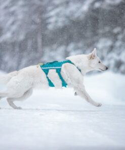 Non-stop Dogwear Ramble harness long - Image 9