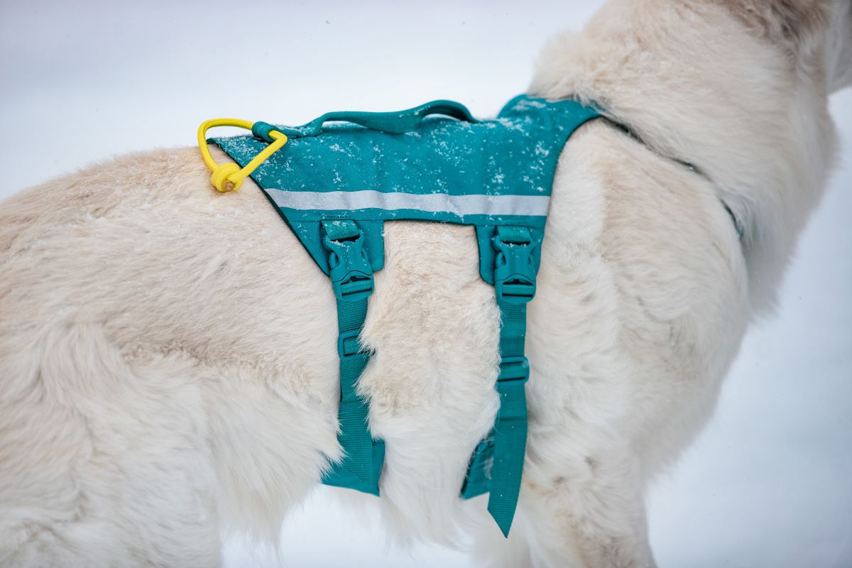 Non-stop Dogwear Ramble harness long - Image 8