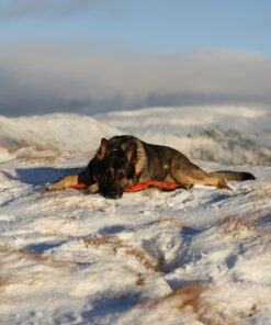 Non-stop Dogwear Protector bivvy bed - Image 5
