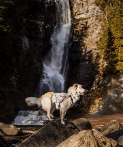 Non-stop Dogwear Trail light dog backpack - Image 4