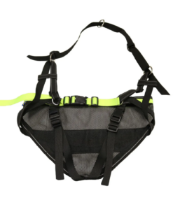 Alternative view of Axaeco Racing belt