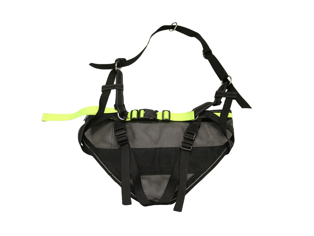 Axaeco Racing belt - Image 2
