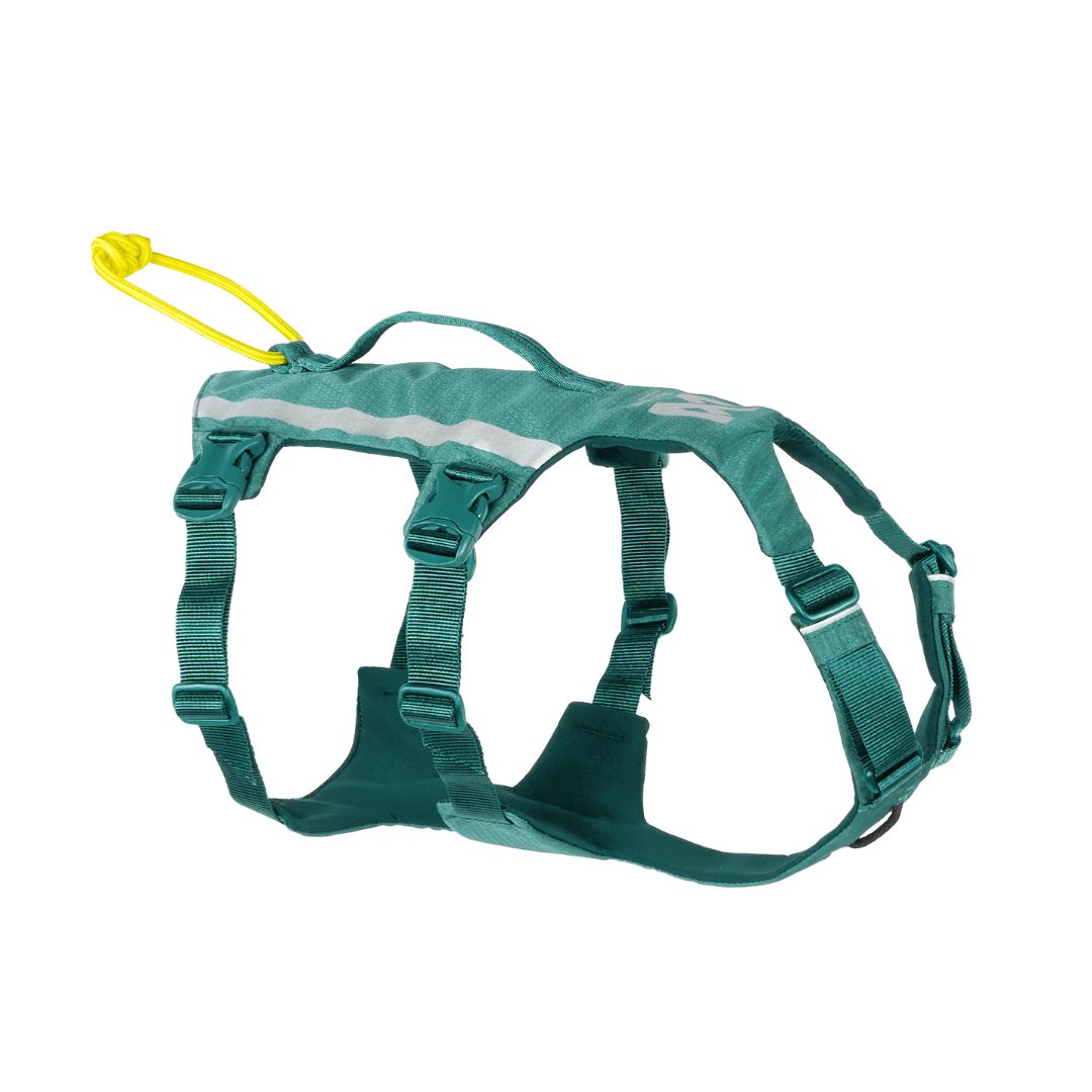 Non-stop Dogwear Ramble harness long