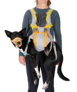 Ruffwear BackTrak™ Dog Evacuation Kit