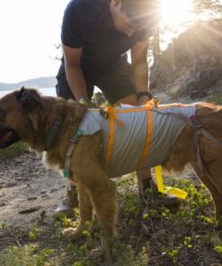 Ruffwear BackTrak™ Dog Evacuation Kit - Image 11