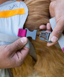 Ruffwear BackTrak™ Dog Evacuation Kit - Image 13