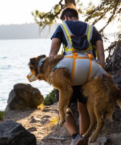 Ruffwear BackTrak™ Dog Evacuation Kit - Image 9
